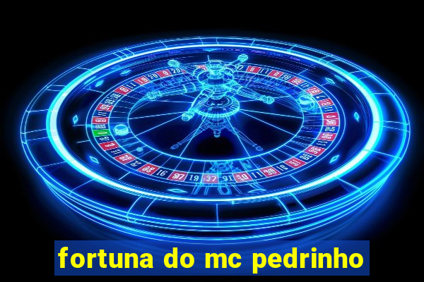 fortuna do mc pedrinho